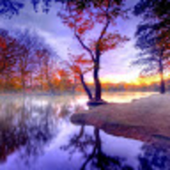 maggielnase